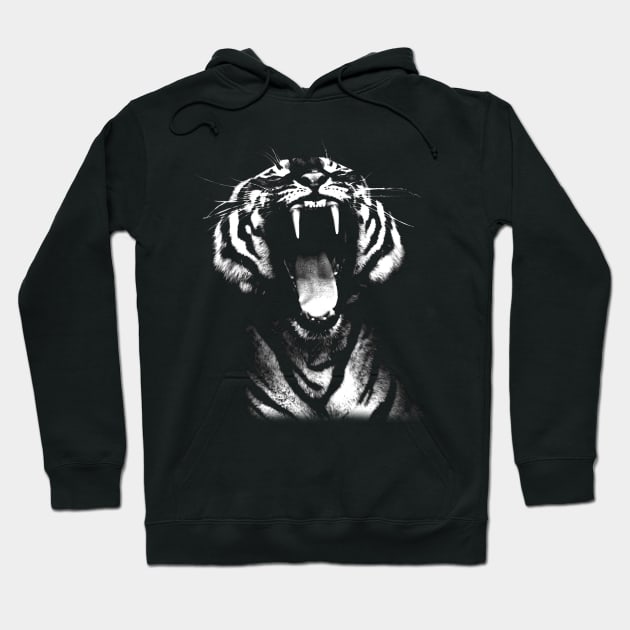 tiger, screaming tiger Hoodie by hottehue